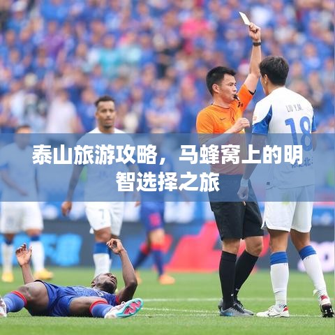 泰山旅游攻略，马蜂窝上的明智选择之旅