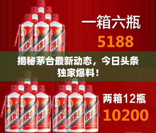 揭秘茅台最新动态，今日头条独家爆料！