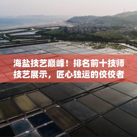 海盐技艺巅峰！排名前十技师技艺展示，匠心独运的佼佼者