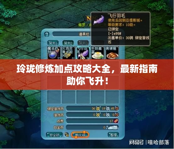玲珑修炼加点攻略大全，最新指南助你飞升！