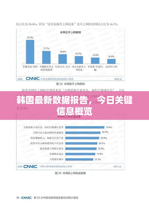 韩国最新数据报告，今日关键信息概览