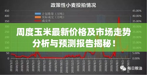 周度玉米最新价格及市场走势分析与预测报告揭秘！