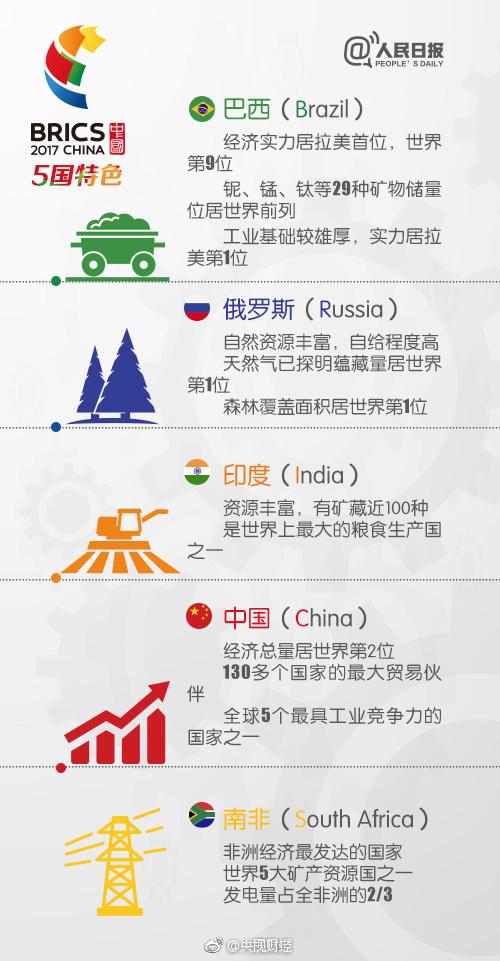 金砖国家数字解析，揭示含金量的深度探究