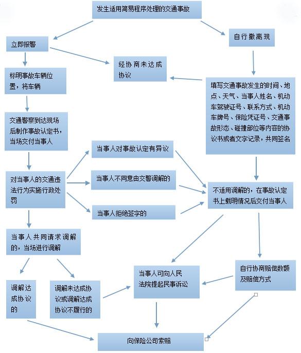 最新进出口权办理流程详解，操作指南与31日办理攻略