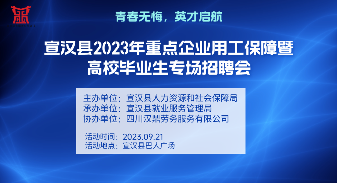 11月5日无为县招聘风云，求职路上的奇遇