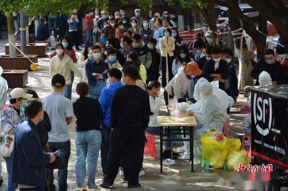 桂林疫情最新动态，11月6日回顾与影响分析