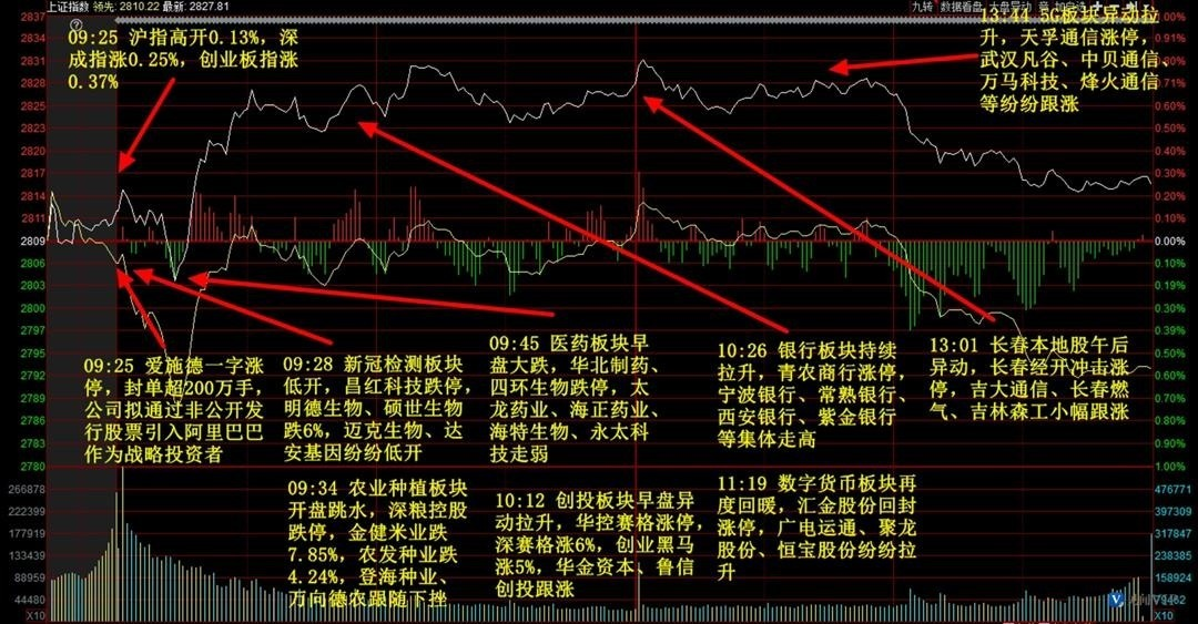 独家揭秘，宝藏小店的股票年报与小巷深处的投资机会（2024年11月8日最新年报）