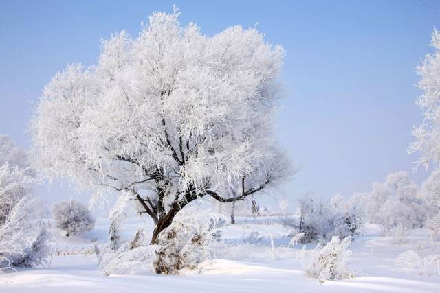 素雪新篇，冬日暖阳下的温馨日常与友谊的暖阳与家的温馨时刻