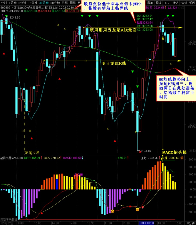 最新股票技术分析实战指南，从入门到进阶本月深度解析