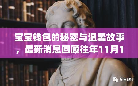 宝宝钱包的秘密与温馨故事，最新消息回顾往年11月14日动态