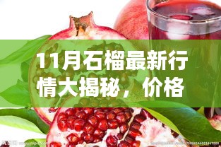 11月石榴最新行情大揭秘，价格更新与惊喜