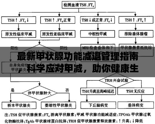 最新甲状腺功能减退管理指南，科学应对甲减，助你健康生活