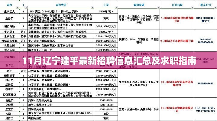 11月辽宁建平最新招聘信息汇总及求职指南