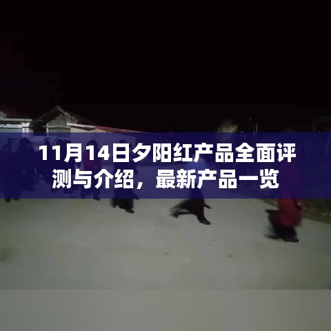 11月14日夕阳红产品全面评测与介绍，最新产品一览