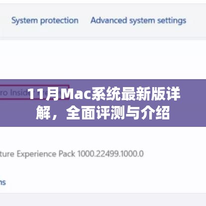 11月Mac系统最新版详解，全面评测与介绍