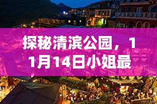 探秘清滨公园，11月14日小姐最新情况及隐藏宝藏小店揭秘