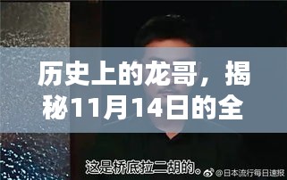 历史上的龙哥，揭秘11月14日的全新篇章