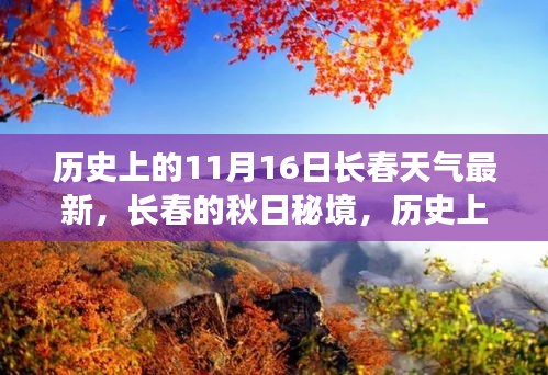 历史上的11月16日长春秋日秘境，探寻内心平静的秋日旅程