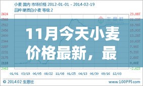 11月小麦价格走势分析，最新消息与预测