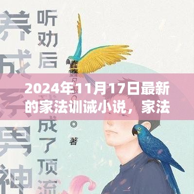 家法传承，日常训诫与爱的纽带（最新家法训诫小说，2024年11月17日）