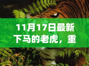 11月17日最新科技突破，跃出老虎的高科技产品——感受未来科技魅力