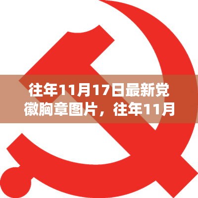 往年11月17日党徽胸章最新图片展示及解读