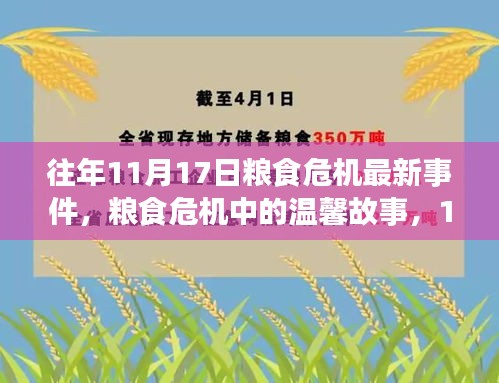 往年11月17日粮食危机中的温馨故事与收获，危机中的友情与希望之光