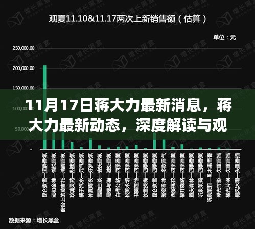 蒋大力最新动态深度解读与观点阐述，11月17日最新消息揭秘