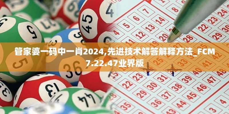 管家婆一码中一肖2024,先进技术解答解释方法_FCM7.22.47业界版