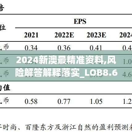 2024新澳最精准资料,风险解答解释落实_LOB8.63.32主力版