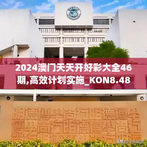 2024澳门天天开好彩大全46期,高效计划实施_KON8.48.29环境版