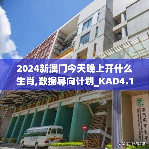 2024新澳门今天晚上开什么生肖,数据导向计划_KAD4.12.35文化传承版