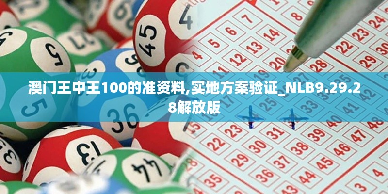 澳门王中王100的准资料,实地方案验证_NLB9.29.28解放版