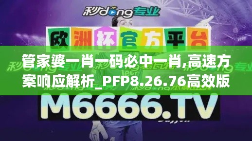 管家婆一肖一码必中一肖,高速方案响应解析_PFP8.26.76高效版