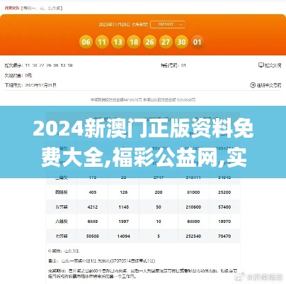 2024新澳门正版资料免费大全,福彩公益网,实际应用说明解析_MMX5.21.73标准版