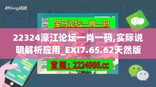 22324濠江论坛一肖一码,实际说明解析应用_EXI7.65.62天然版