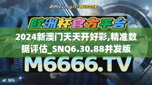 2024新澳门天天开好彩,精准数据评估_SNQ6.30.88并发版