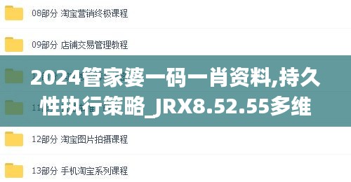 2024管家婆一码一肖资料,持久性执行策略_JRX8.52.55多维版