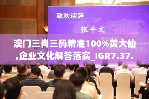 澳门三肖三码精准100%黄大仙,企业文化解答落实_IGR7.37.34别致版