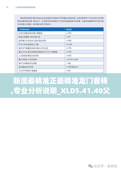 新澳最精准正最精准龙门客栈,专业分析说明_XLD5.41.40父母版