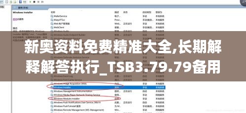 新奥资料免费精准大全,长期解释解答执行_TSB3.79.79备用版