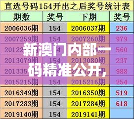 新澳门内部一码精准公开,合理解析评审决策_TJI3.61.56月光版