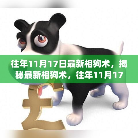 揭秘往年11月17日最新相狗术，洞察与探索的独特视角