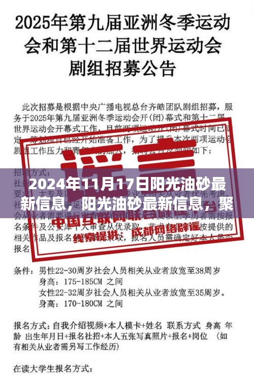 2024年11月17日阳光油砂最新信息及行业洞察与趋势分析