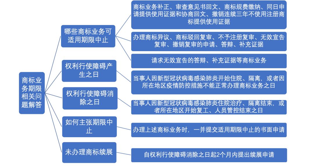 历年11月15日山西驾校改革深度解读，进展、影响与地位分析