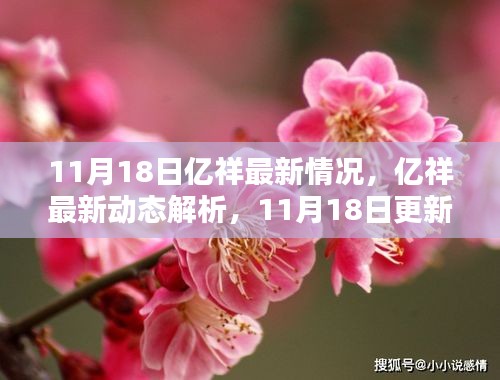 11月18日亿祥最新动态详解与更新情况解析，步骤指南