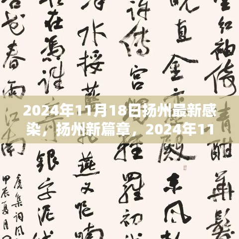 2024年11月18日扬州最新感染，扬州新篇章，2024年11月18日的希望之光，照亮我们前行的道路