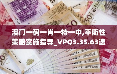 澳门一码一肖一特一中,平衡性策略实施指导_VPQ3.35.63速达版