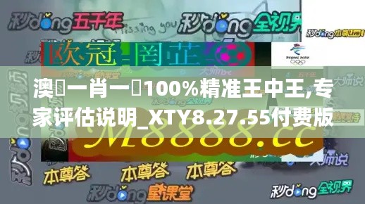 澳門一肖一碼100%精准王中王,专家评估说明_XTY8.27.55付费版