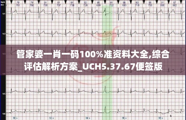 管家婆一肖一码100%准资料大全,综合评估解析方案_UCH5.37.67便签版